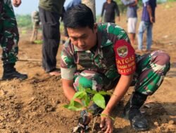 Perkuat Tanggul Agar Tidak Mudah Longsor, Sektor 20 CH Tanam 300 Pohon di Kaki Tanggul Hasil Perbaikan